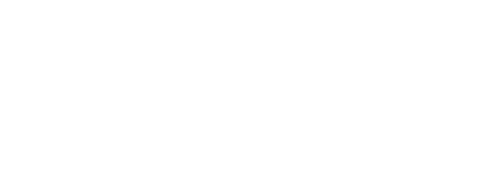 Nexgen Solutions Group Logo